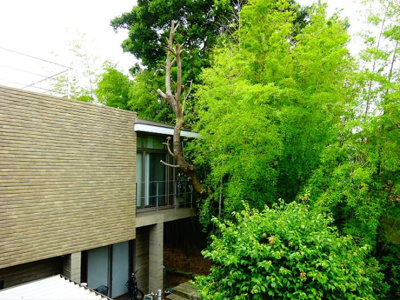 【展望】 | バンブーガーデン