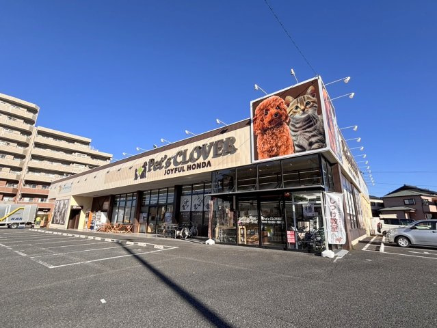 仮称　東大宮６丁目メゾンの周辺