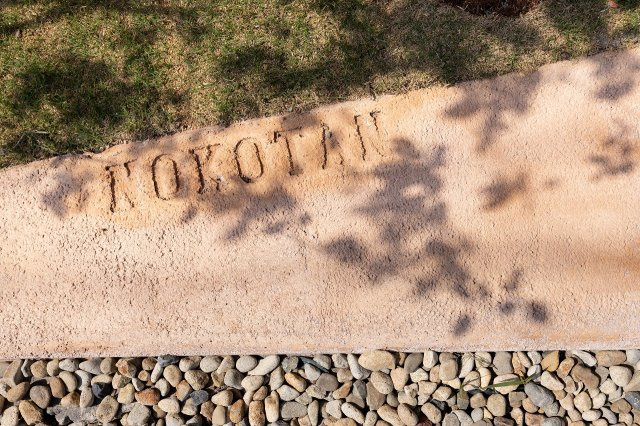 【庭】 | NOKOTANHANARE3号室 | 大家さま・リノベーション監修の建築士さまのこだわりが沢山つまったＷＯＲＫＳＡＬＯＮ！！