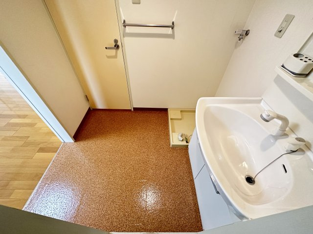 アスターハウス旭の洗面所
