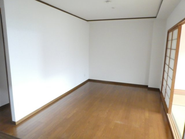 カワモヒルのその他