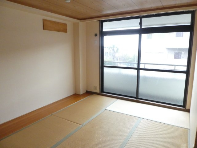 カワモヒルの和室