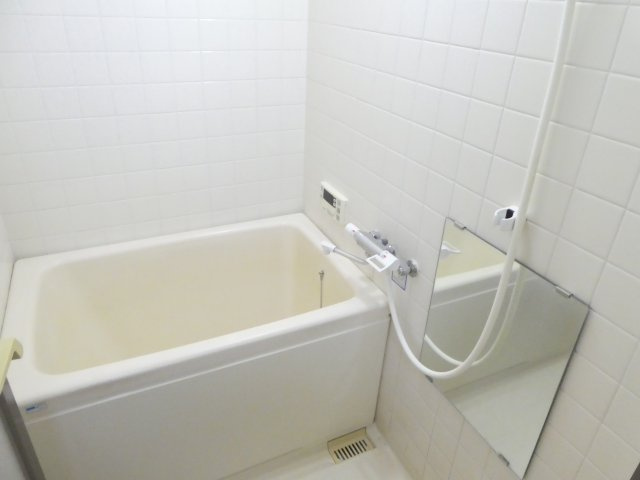 カワモヒルの浴室