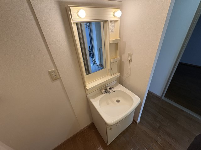 ピッケル末広の洗面所