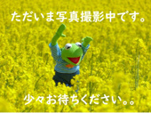 FLAGS箱崎公園前の画像