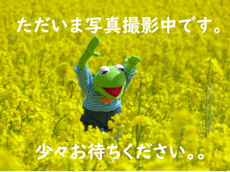 【庭】 | FLAGS箱崎公園前