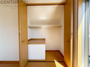 衣類やアクセサリー、小物類の収納が便利で整理整頓がしやすく、部屋の美観を保ちつつ、スペースを最大限に活用できます。衣服のしわやダメージを防ぎ、長持ちさせることができます。
