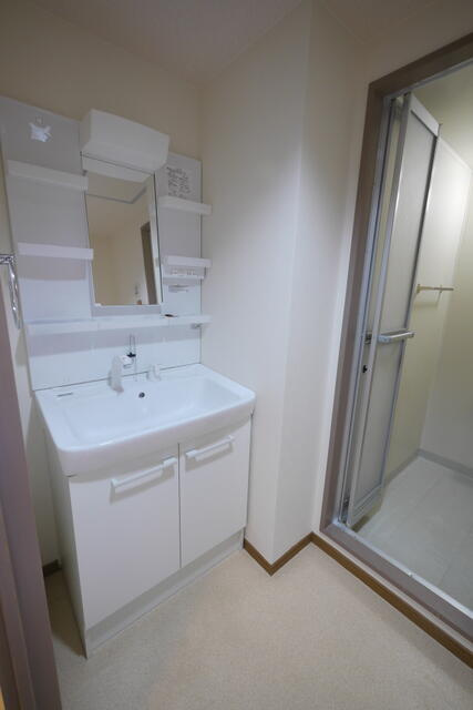 ベルメゾン南篠崎ユニゾンの洗面所