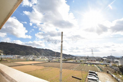 【展望】 | ビューハイム茶の木