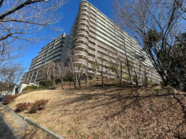 グランレグナスの画像