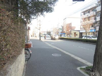 WEST VILLA OIKE（ウエストヴィラオイケ）の周辺|前面道路
