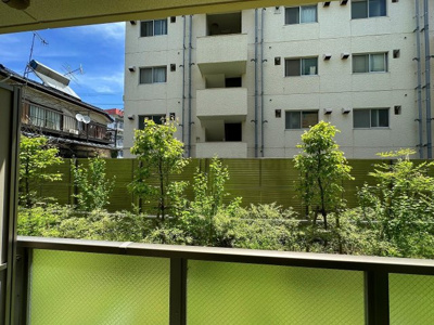 【展望】 | N-StageFujisawa