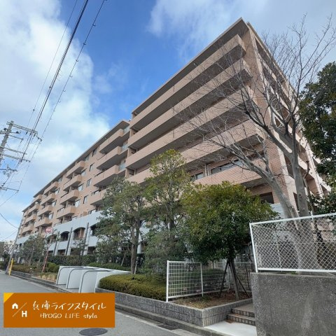 パーク・ハイム夙川泉町の外観|外観