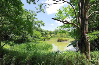 【周辺】 | 豊ヶ丘南公園の池まで徒歩６分
