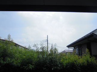 【展望】