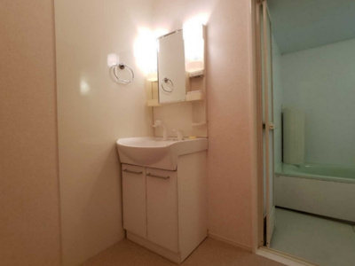 【独立洗面台】 | ハーベスト・ガーデン Ｂ | 洗髪洗面化粧台