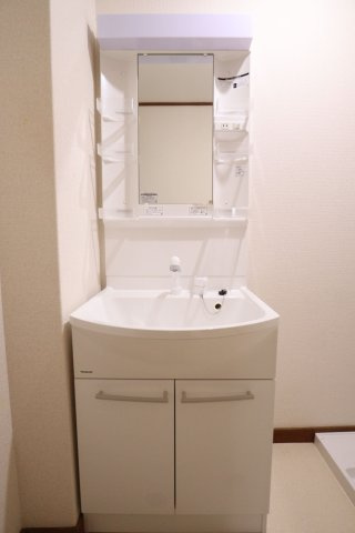ローズハイツの洗面所