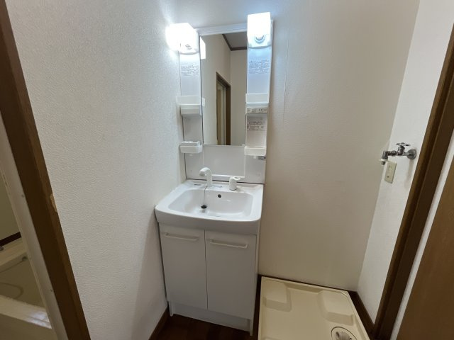アベニュー安室の洗面所