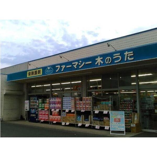 アムールHalekulaniの周辺