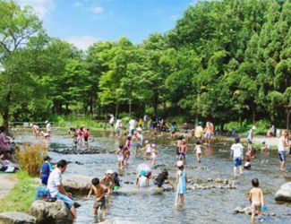 【周辺】 | 同じ町内に国営河川環境楽園があり、様々な催し物があるため、お子様連れのかたへおススメですよ。