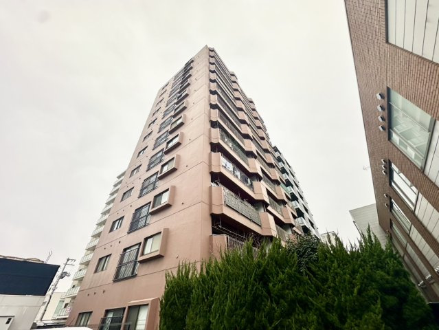ライオンズマンション金剛院の外観