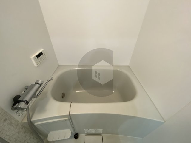 ピレーネ近江堂の浴室