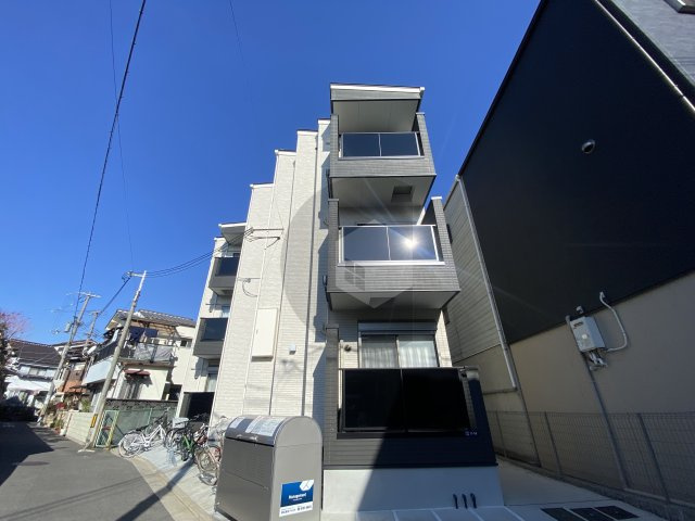 F asecia Kosakaの外観