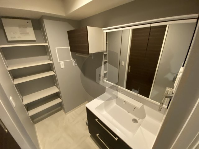 シャーメゾン菱屋東の洗面所