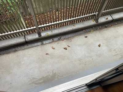 Ｋハイムのバルコニー