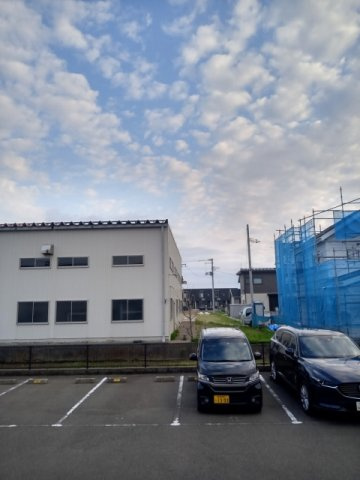 レオネクストファルコーネのその他