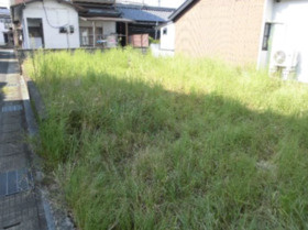 西条市中野甲の庭