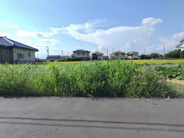 〈調整区域〉約101坪。農地としてご検討ください。