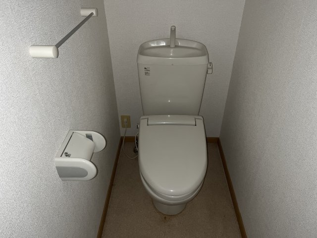 グレイスフルフィールドⅥのトイレ