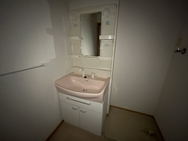 グレイスフルフィールドⅥの洗面所