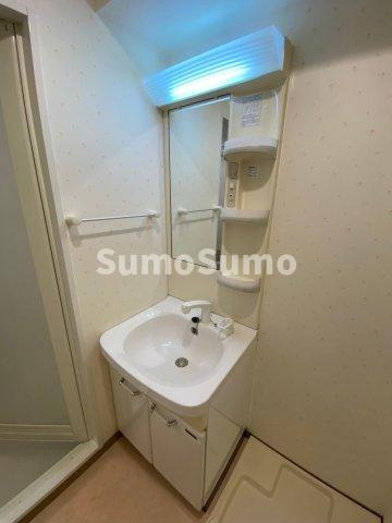 アネシスコート門口の洗面所