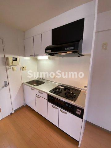 アネシスコート門口のキッチン