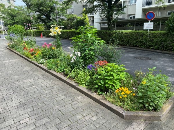 の-の画像