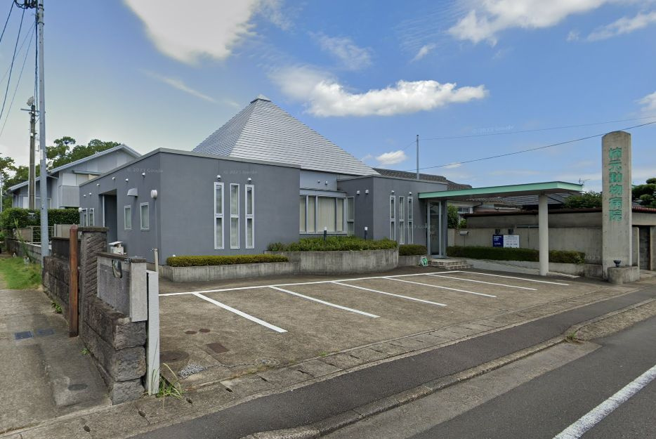 都城市花繰町の店舗