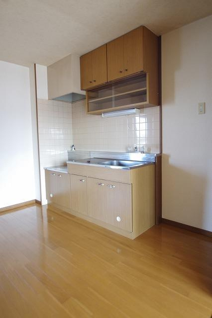 熊本市中央区薬園町の賃貸マンションのキッチン