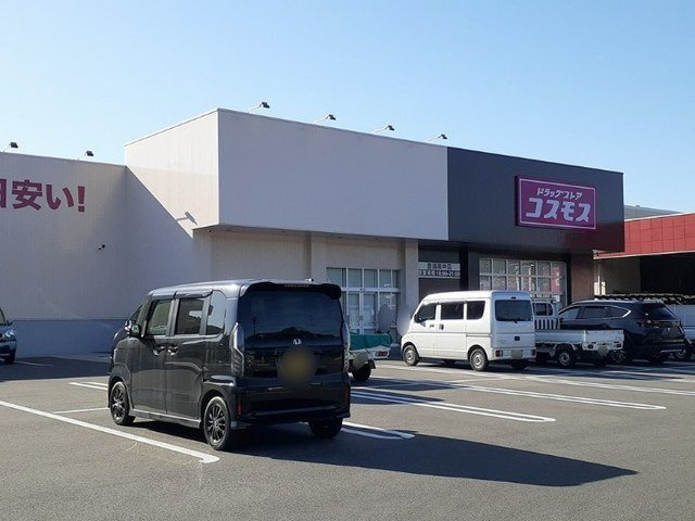 サンライズＢの周辺|コスモスまで2100m