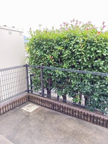 ソレアードエムＡの庭