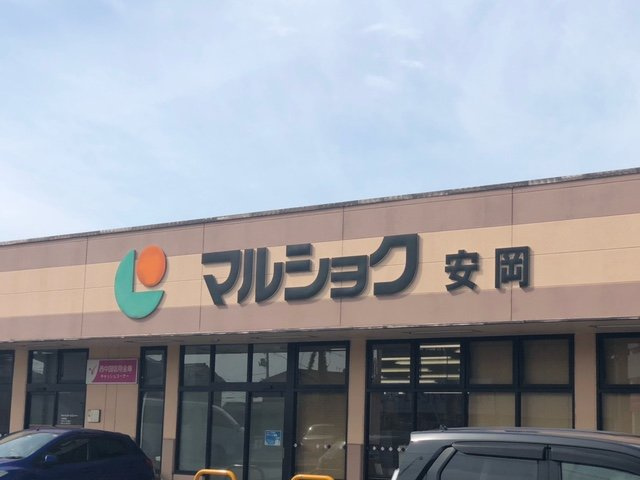 レオネクストやすらが丘Ⅰの周辺