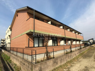 アンプルールフェールすぎやまの画像