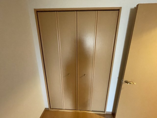 ヴェルドミールⅡの収納