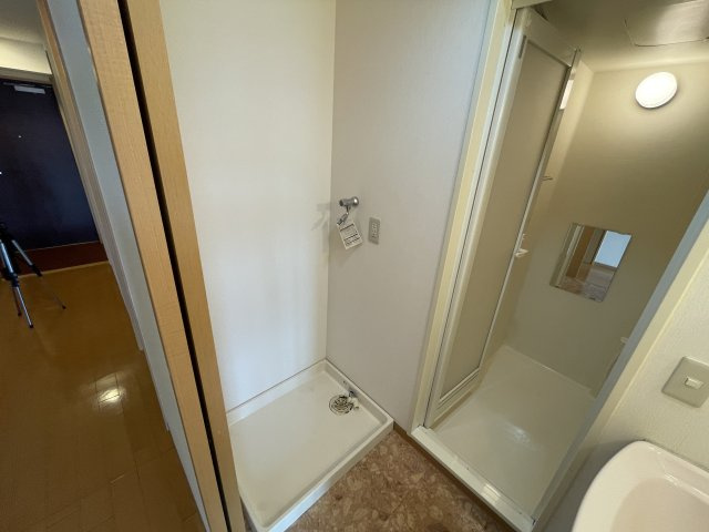 ヴェルドミールⅡの洗面所