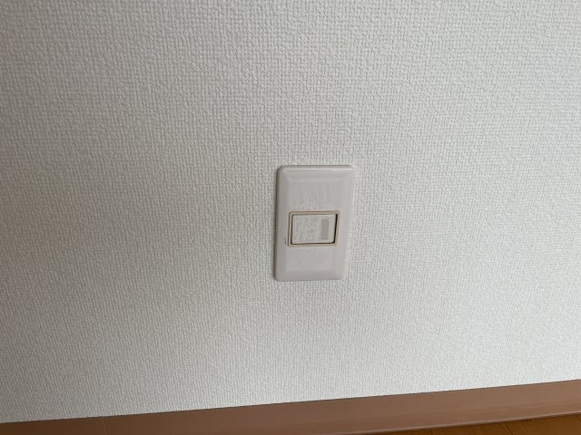 ヴェルドミールⅡのセキュリティ