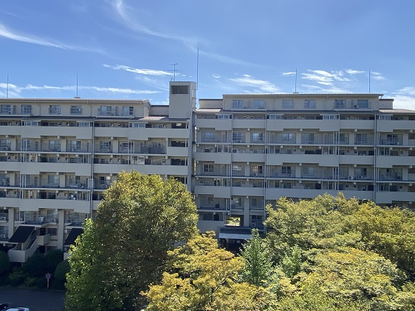 の-の画像