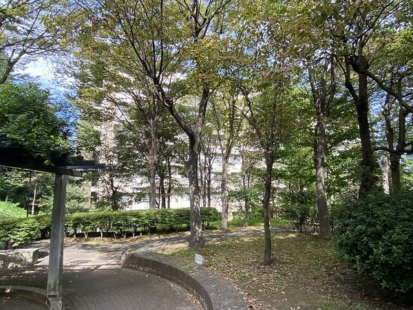 の-の画像