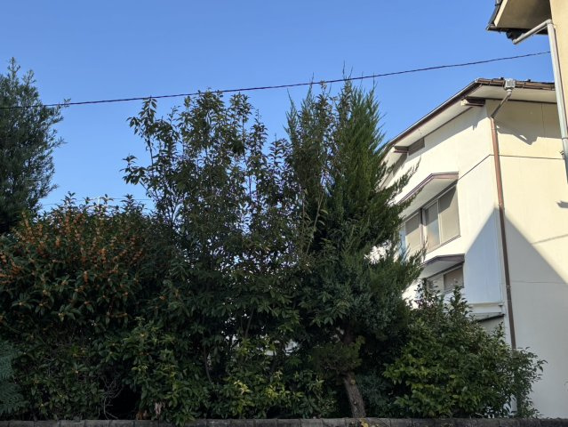 道後今市でおひとり様戸建♪の外観|物件の外観です