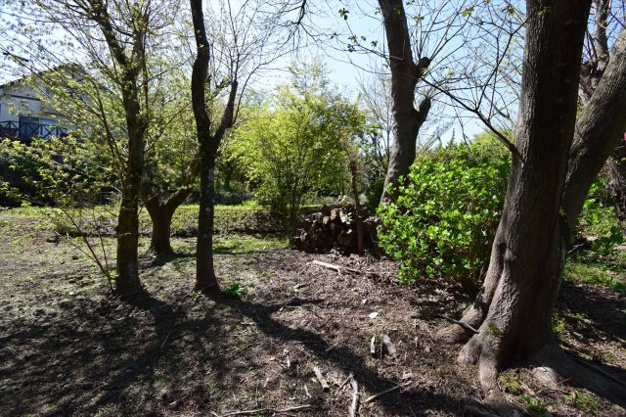 【外観】 | イトーピアA地区　売地